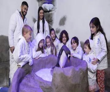 Dubai Aquarium & Underwater Zoo: Entry Ticket + Penguin Encounter